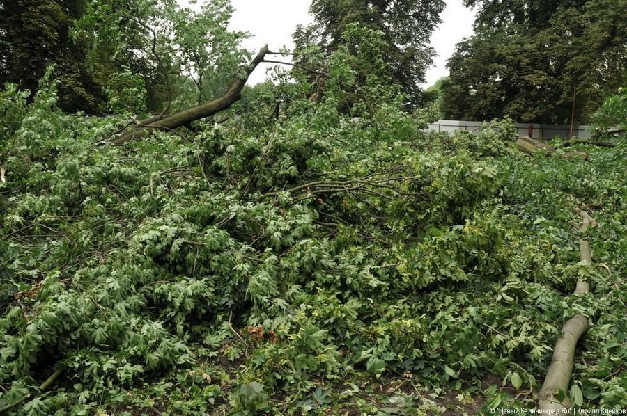 Последствия погрома на Ялтинской: фоторепортаж "Нового Калининграда.Ru"