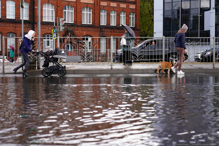 Другой берег улицы: Калининград затопило после шторма (да, опять)