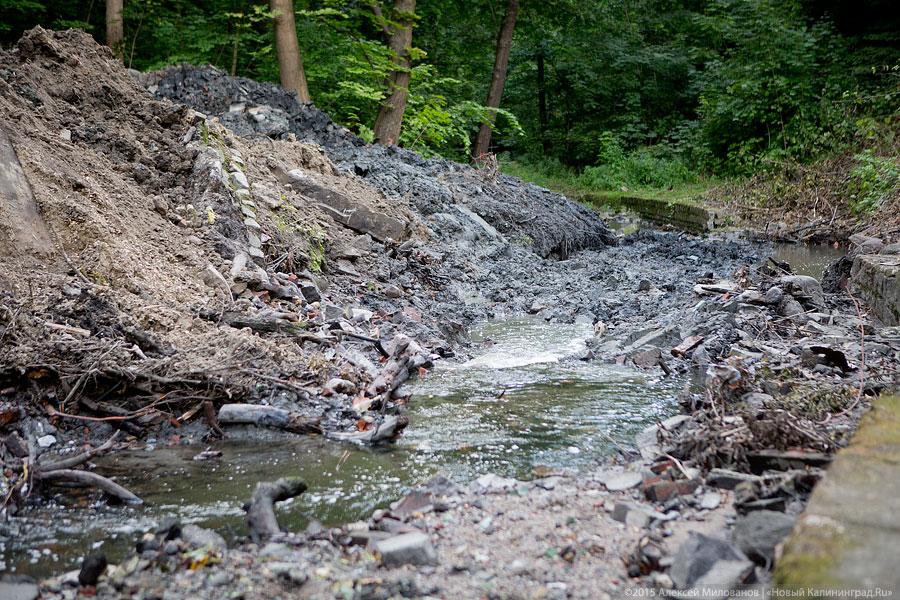 Около бывшей «Сказки» строители завалили глиной русло Паркового ручья (фото)