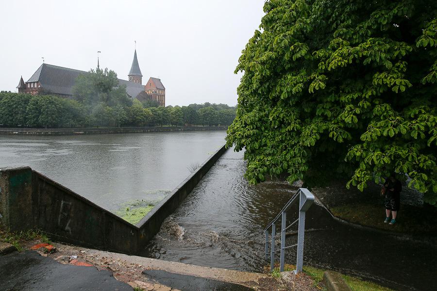 В Калининграде из-за дождя образовались пробки, на улицах случился потоп (фото)