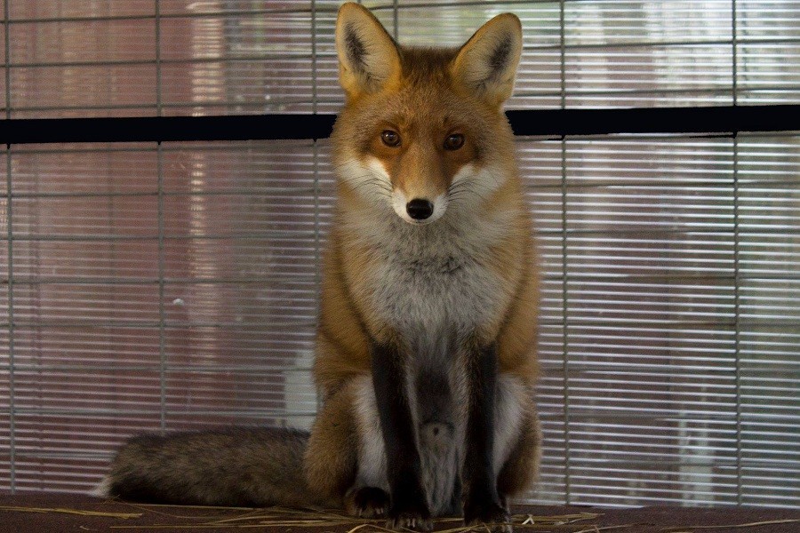 Фото — предоставлено пресс-службой нацпарка