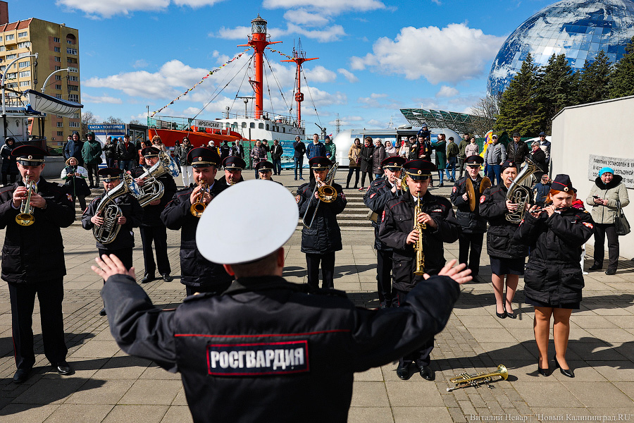 Рыжая заря и бульбачка: День селёдки вернулся в Калининград (фото)