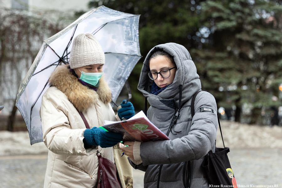 Черный ящик: в Калининграде провели сбор подписей против закона об абортах (фото)