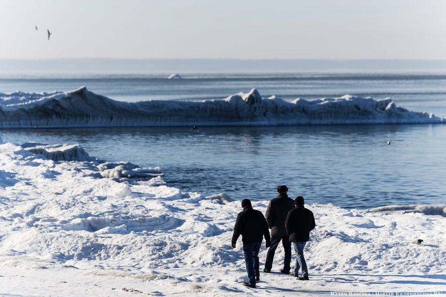 Балтика во льдах: как выглядит побережье после рекордных морозов