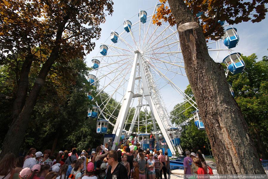 "Калининградский глаз": репортаж "Нового Калининграда.Ru"