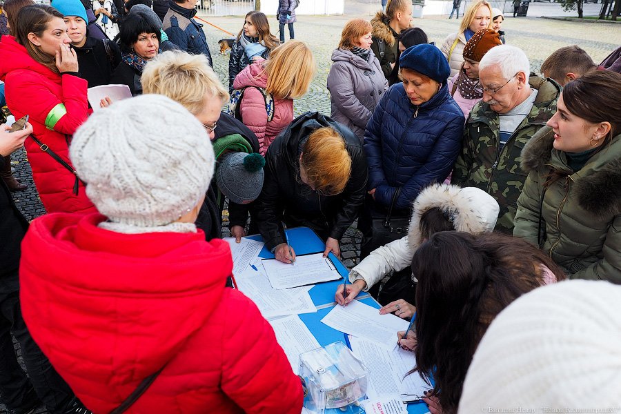 За что нас убивают?: как в Калининграде митинговали в защиту животных
