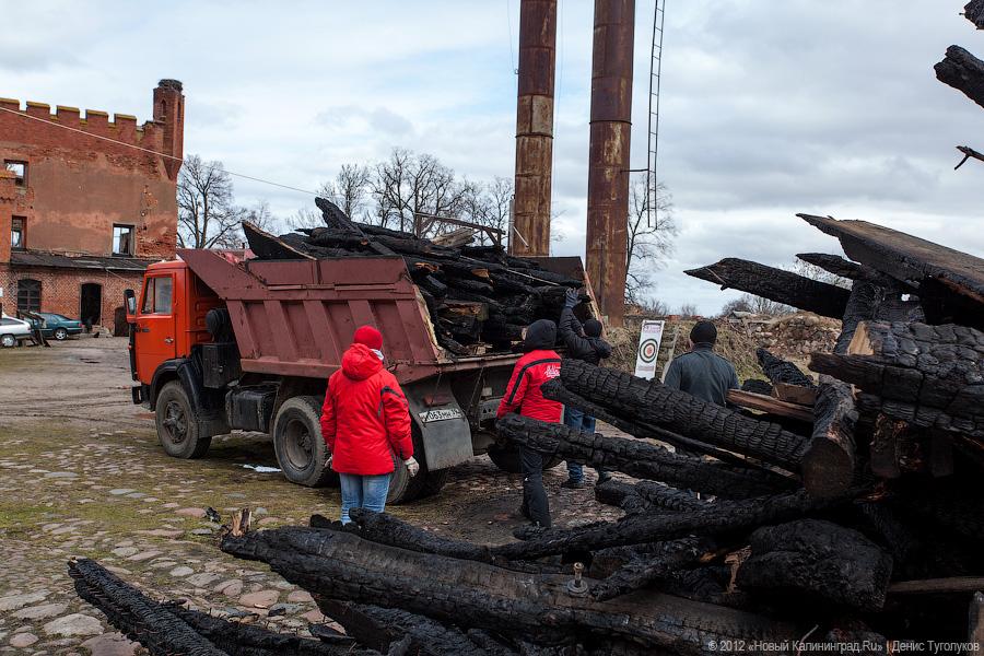«Шаакен, волонтеры и кот Воровай»: фоторепортаж «Нового Калининграда.Ru»