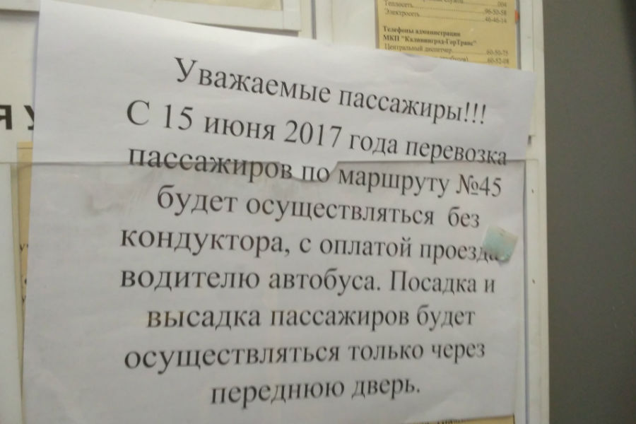 Из автобусов, которые ходят на Остров, хотят убрать кондукторов