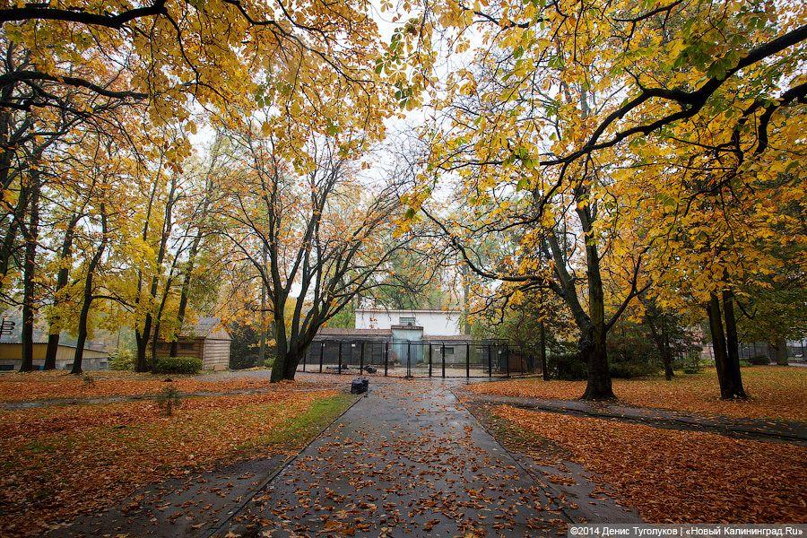 Звериные тропы: прогулка по зоопарку