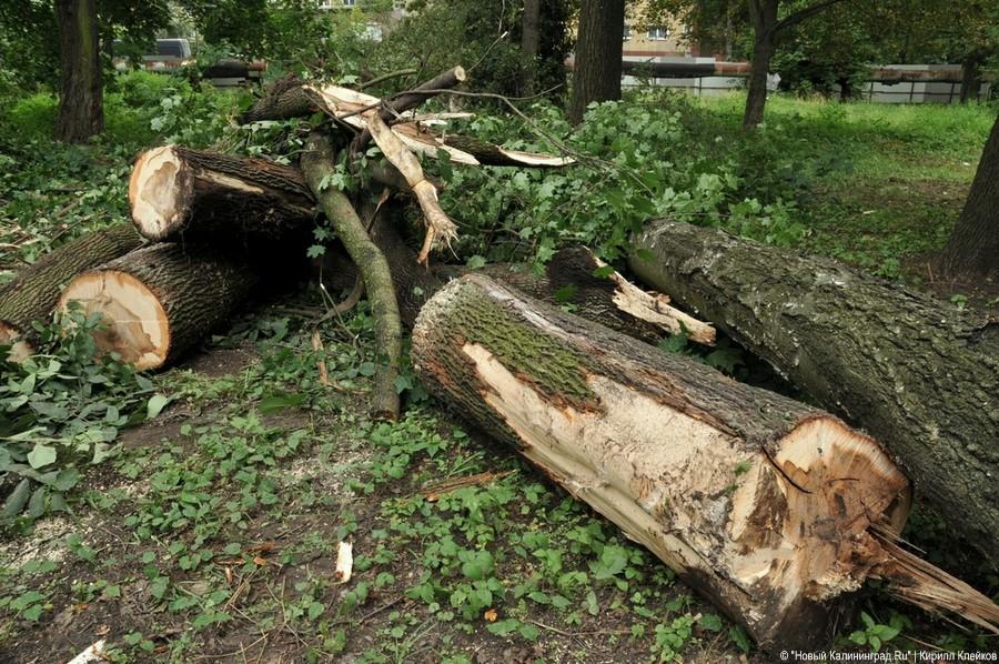 Последствия погрома на Ялтинской: фоторепортаж "Нового Калининграда.Ru"