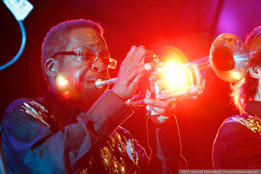 «Дон Ченто Джаз-2011», день второй: фоторепортаж «Нового Калининграда.Ru»