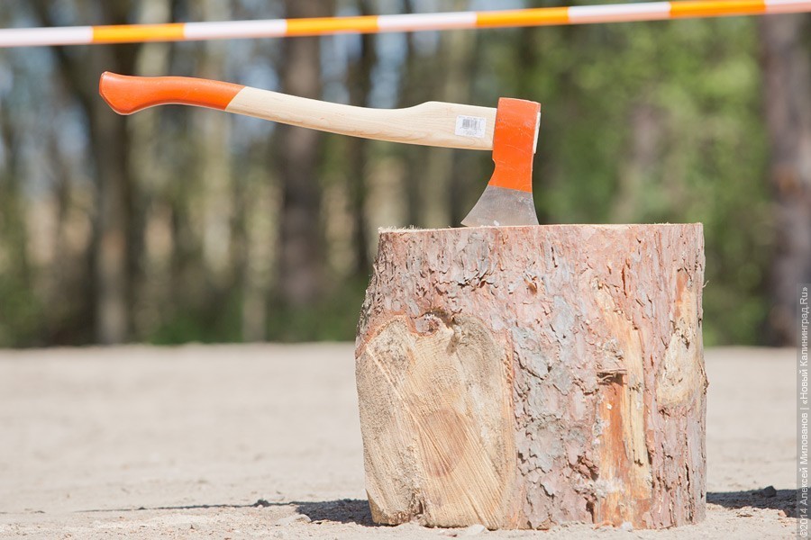 С жителя Правдинска, повредившего топором чужую машину, взыскали ущерб