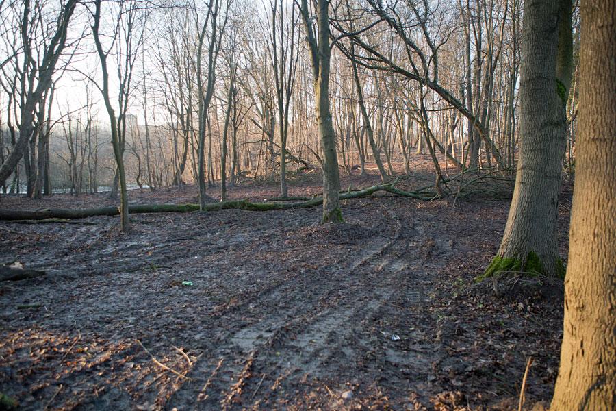 Кладбищенские истории: что происходит с лесопарком на Донского