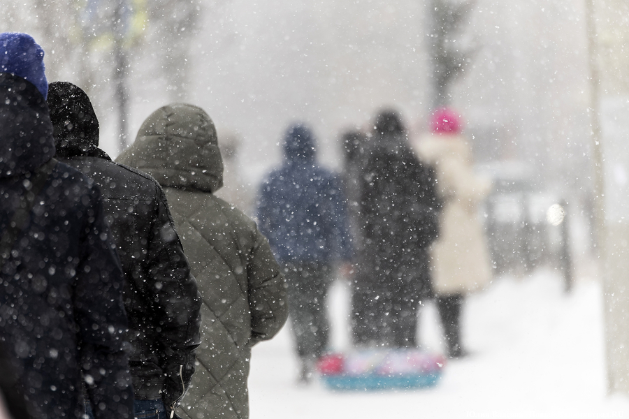 Внезапный снег: Калининград опять оказался не готов к осадкам (фото)