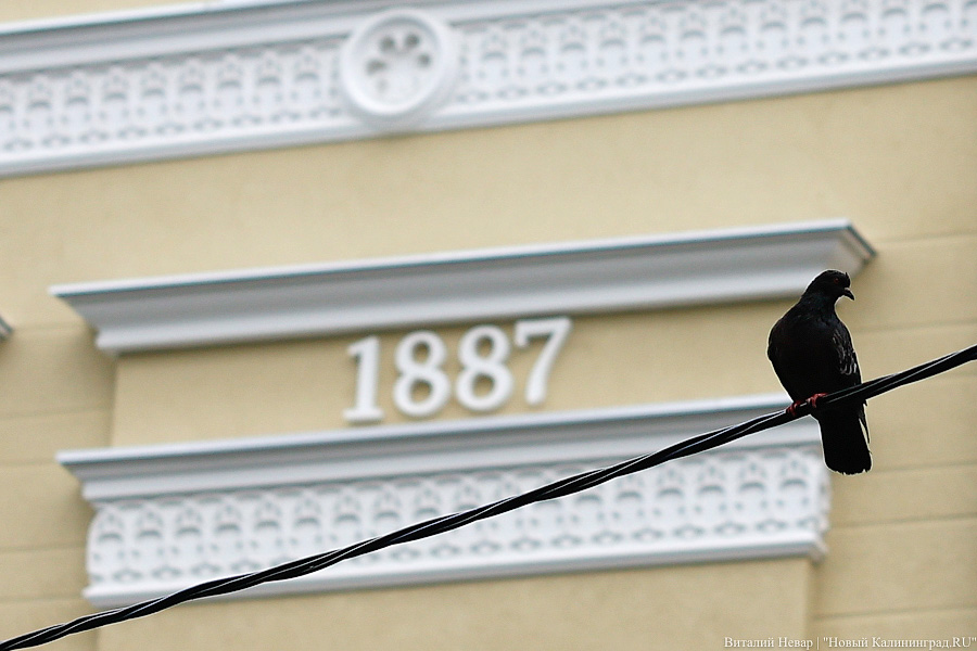 По пути к Кройц-аптеке: на пересечении Фрунзе и Ярославской отремонтировали здание XIX века (фото)