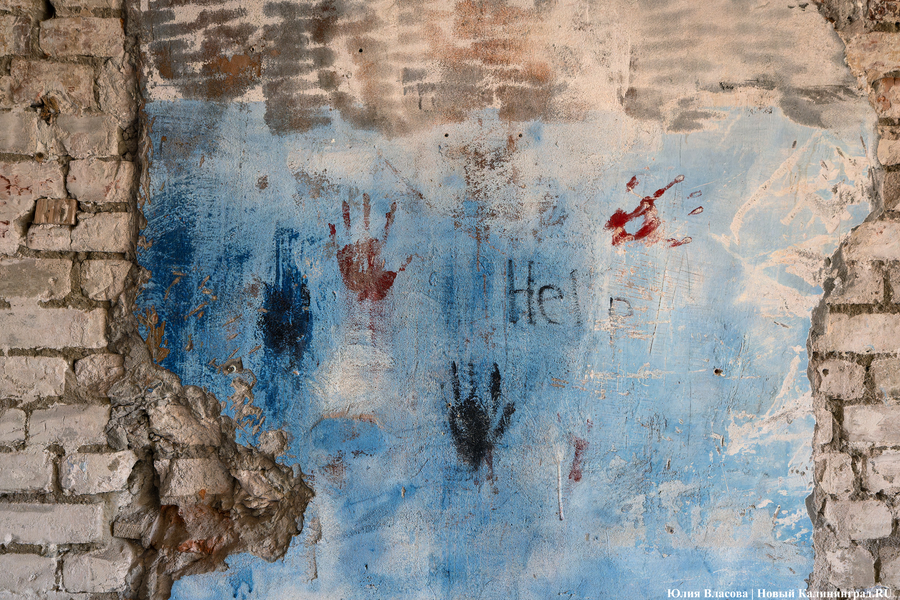 «Начало новой жизни»: в Астрономическом бастионе прошёл субботник (фото)