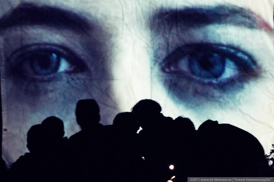 "Насекомая страна": фоторепортаж "Афиши Нового Калининграда.Ru"