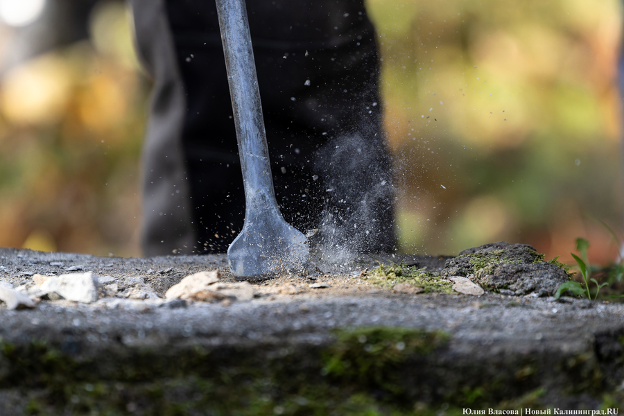 Эхо прошлого: в Калининградском зоопарке извлекли 94-летнюю «капсулу времени» (фото)