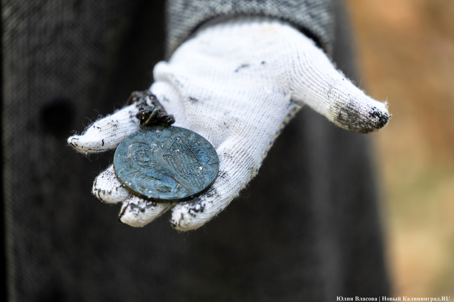 Эхо прошлого: в Калининградском зоопарке извлекли 94-летнюю «капсулу времени» (фото)