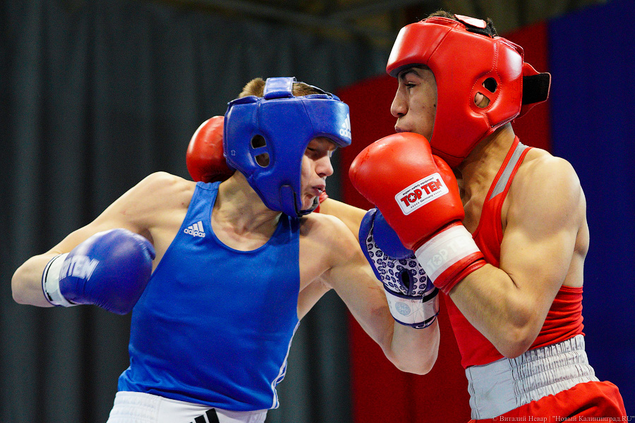 Очередной нокдаун: в Калининграде прошёл международный турнир по боксу «Янтарные перчатки»