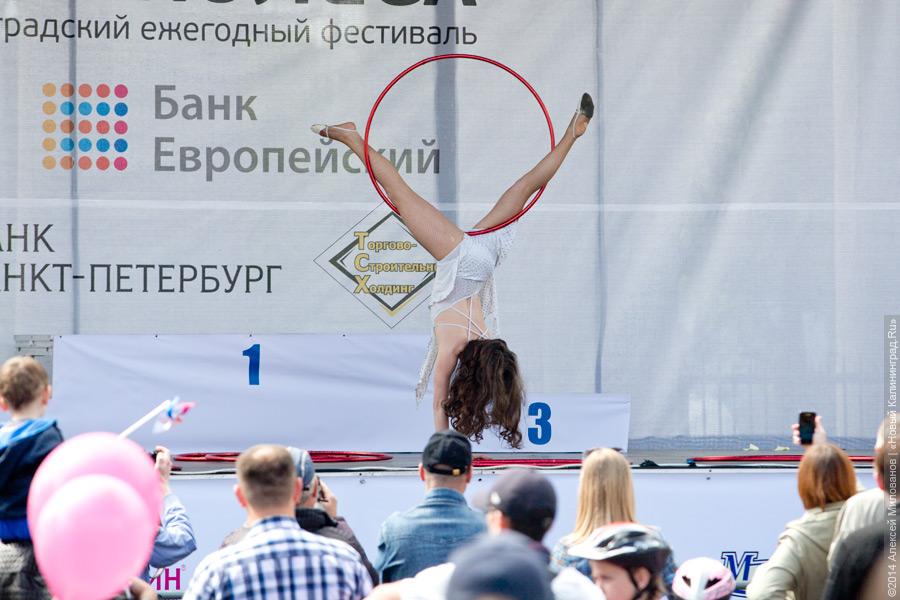 Распогодилось: что было на четвёртом калининградском «Дне колеса» (видео)