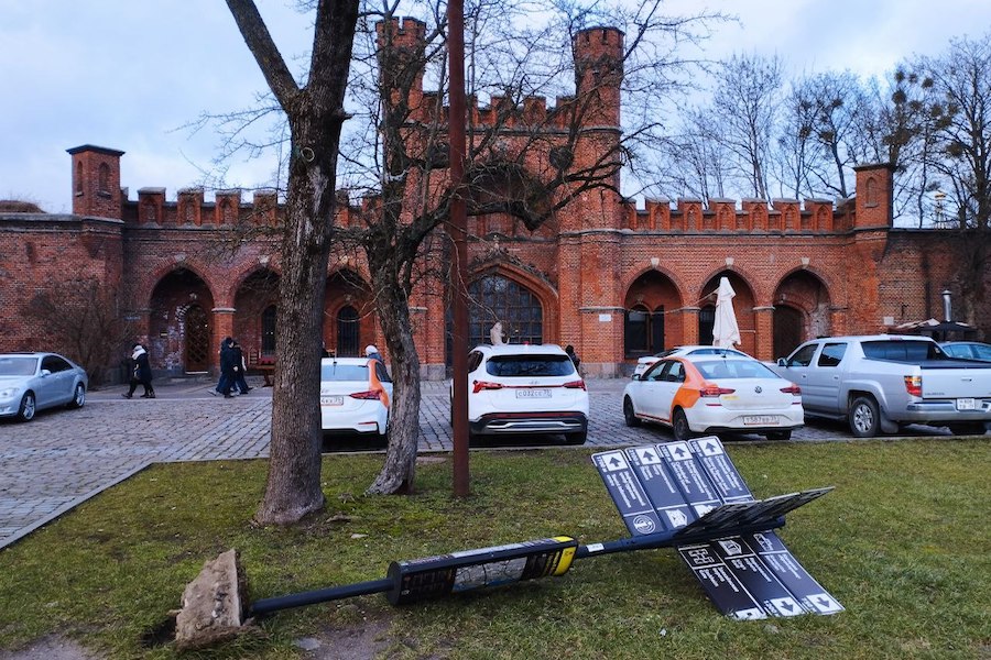 Столбы, деревья, указатели: последствия шторма в Калининграде (фото)