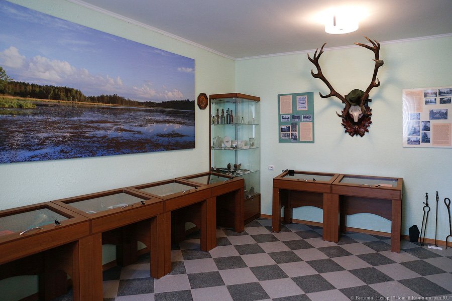 «Дача Геринга» и виштынецкий мораторий: как Алиханов осваивал восток области