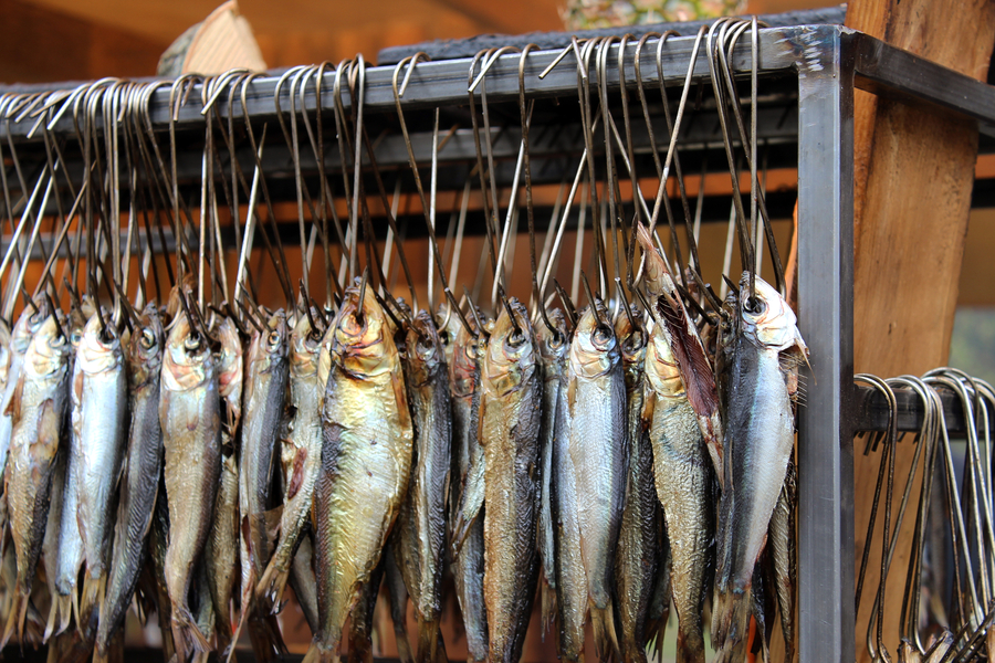 Ярмарка для метеоустойчивых: как прошло открытие гастрофестиваля на острове Канта (фото)