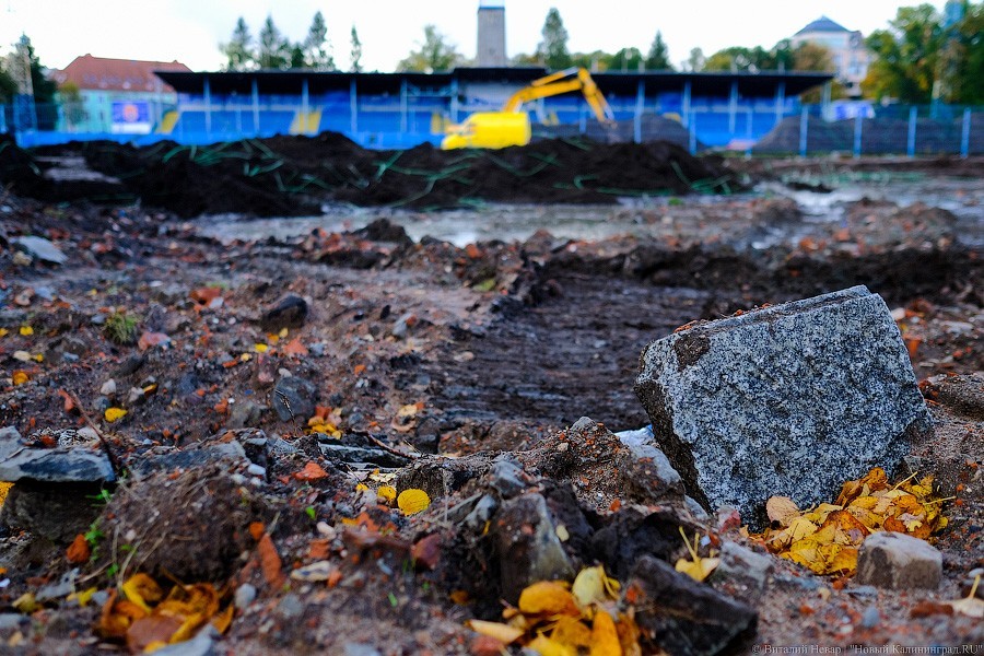 Огород вместо поля: что происходит со стадионом «Балтика» прямо сейчас (фото)