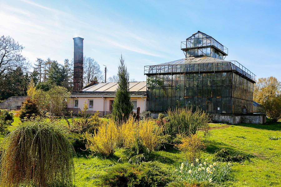 Экзотика в руинах: аварийные оранжереи Ботанического сада и их будущее