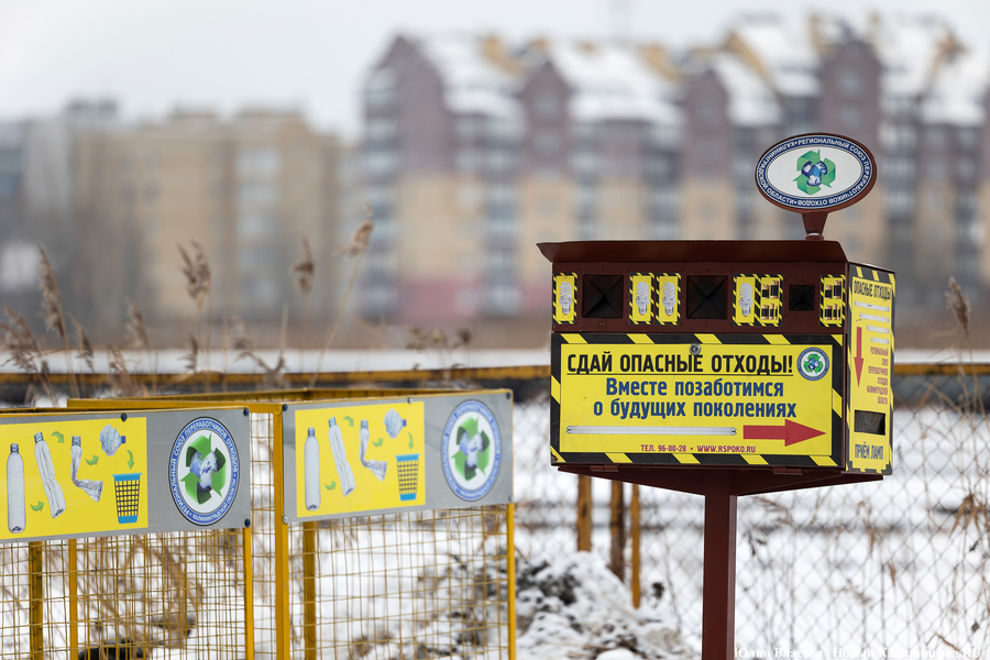 «Ничего на свалку не уйдет»: в Калининграде стали раздельно собирать 14 видов отходов (фото)