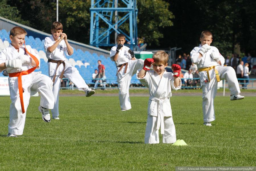 "Пропуская пешеходов": фоторепортаж "Нового Калининграда.Ru"