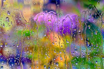 Выходные с дождями