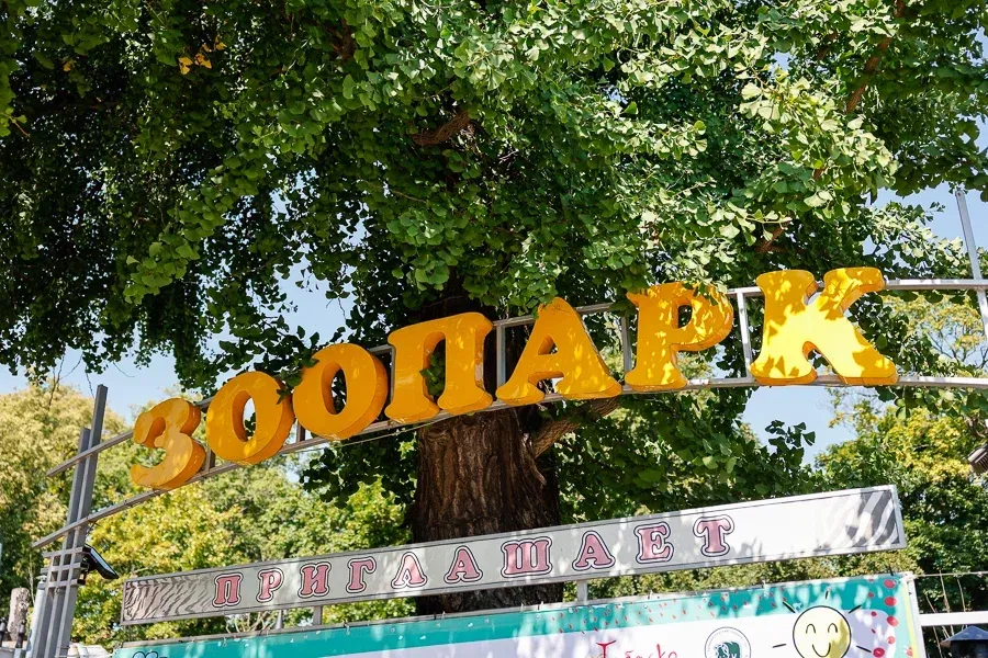 «Просели на 20%»: у Калининградского зоопарка сократилась выручка