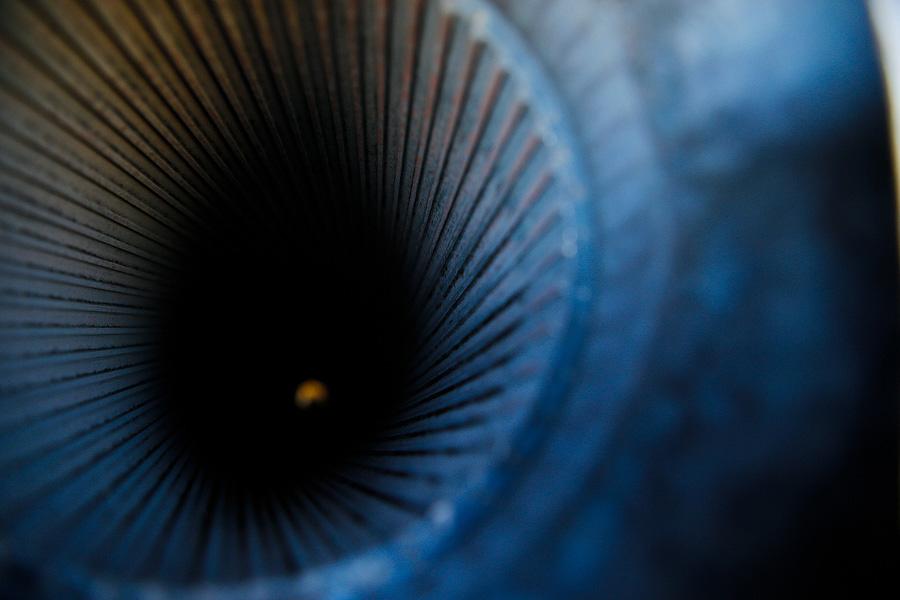 Огнеопасная «Акация»: на полигоне вблизи границы с Литвой прошли учения Балтфлота