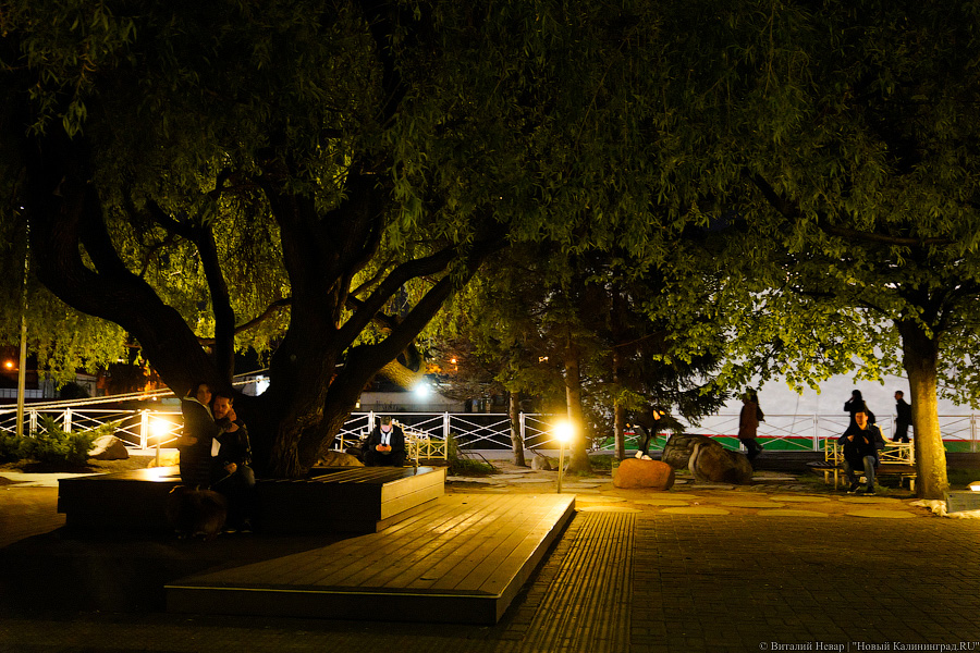 Избирательный COVID: как Музейная ночь стала праздником для одних и проблемой для других