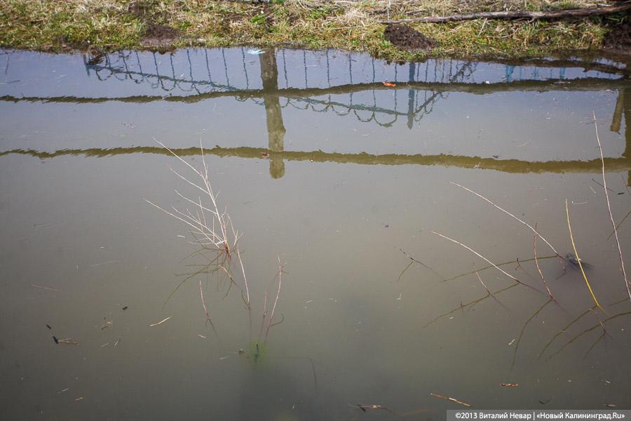 На родине Цуканова в пос. Липово тонет кладбище (+фото)