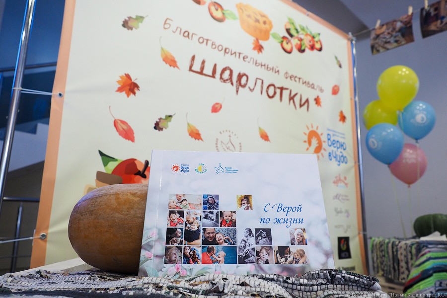 Традиционное осеннее добро: как прошел Благотворительный фестиваль шарлотки
