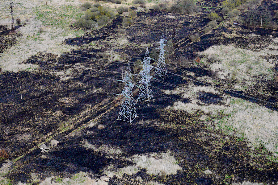 Под винтом вертолёта о чем-то поёт: воздушный парад глазами участника (фото)