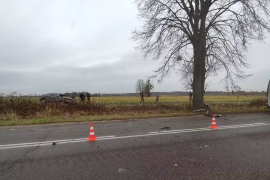 Под Правдинском «Тойота» врезалась в дерево, водитель скончался