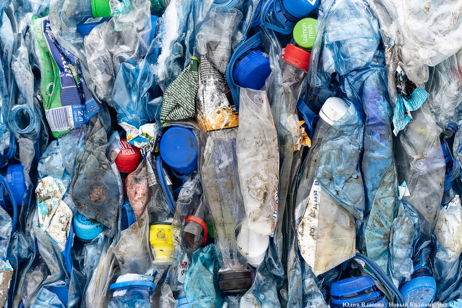 «Ничего на свалку не уйдет»: в Калининграде стали раздельно собирать 14 видов отходов (фото)