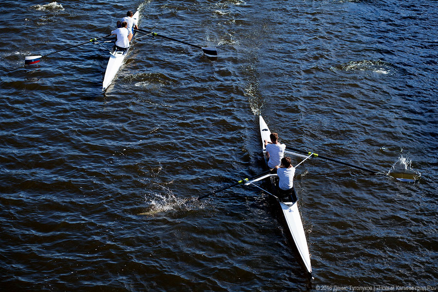 Суши весла!: в Калининграде состоялась международная «Прегельская регата»