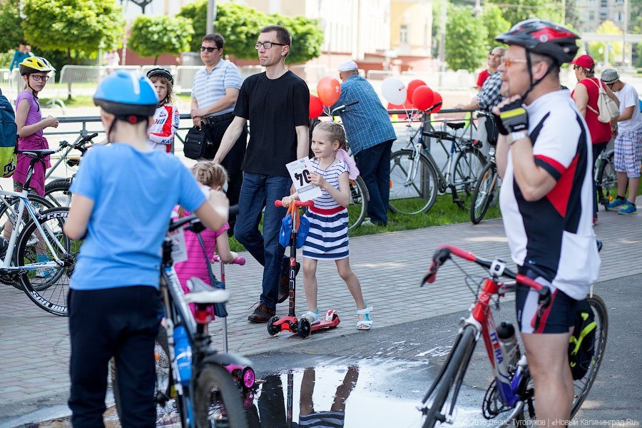 Фото — Денис Туголуков, «Новый Калининград.Ru»