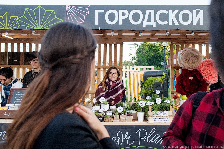 Жутко здорово и запредельно дорого: как прошёл пикник «Городские выходные»