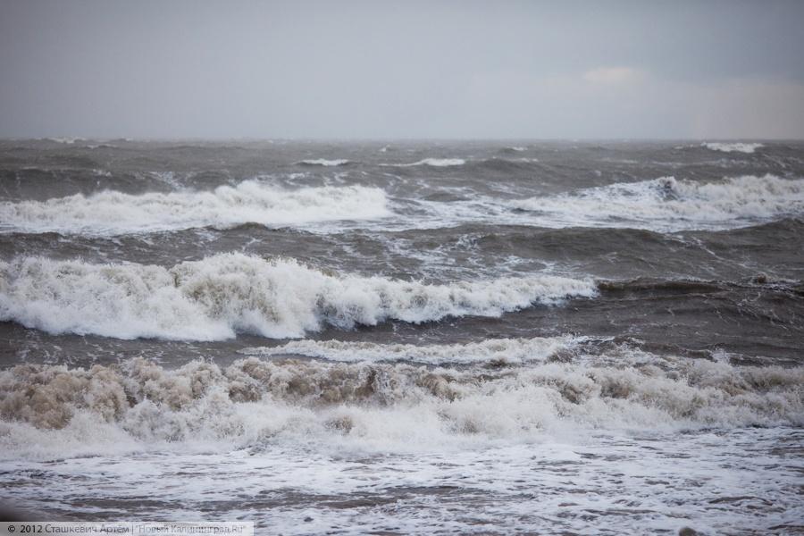 "Старый новый шторм. Зеленоградск": фоторепортаж "Нового Калининграда.Ru"