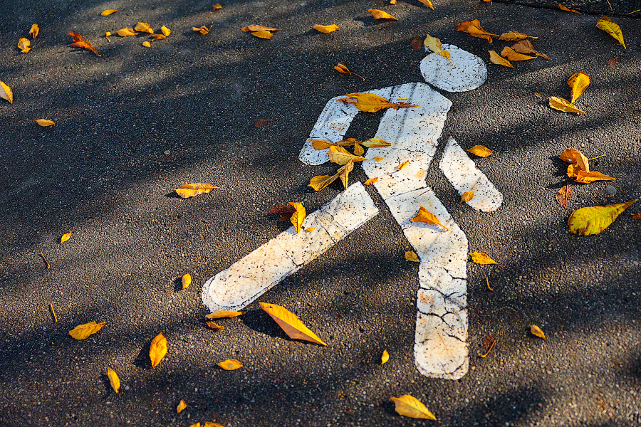 Время тыквы: как в Калининграде проходит необычная осень (фото)