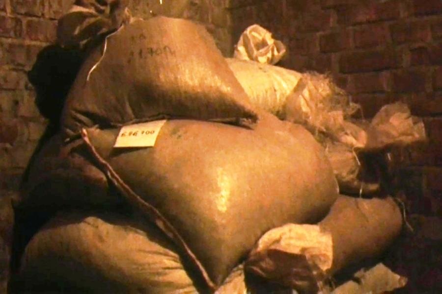 В Балтийске в немецком форту полиция нашла тайник с янтарём на 87 миллионов евро (фото)