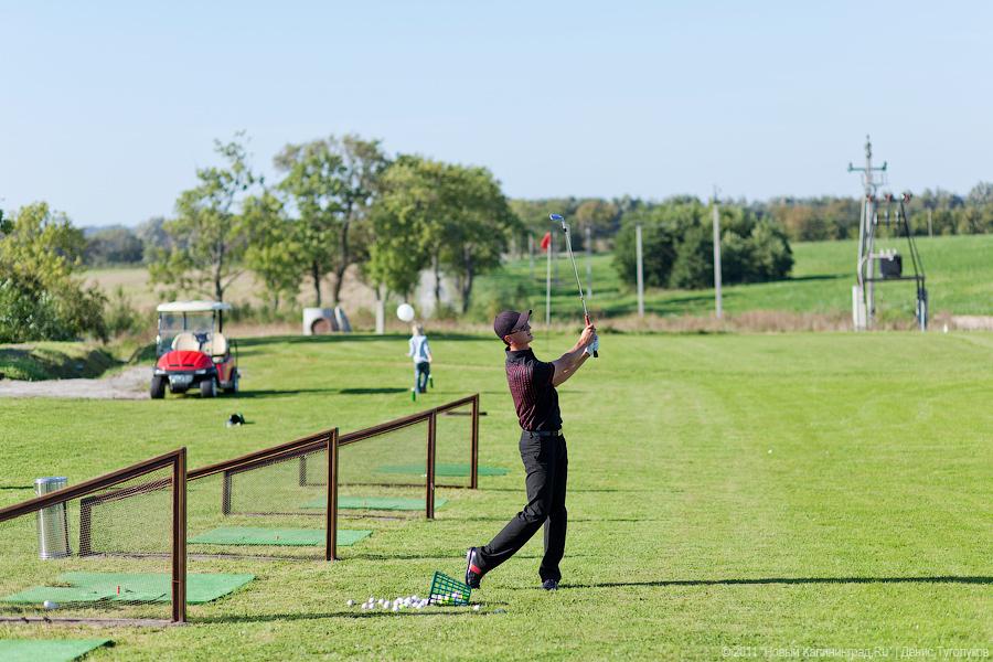 Начать строительство гольф-поля под Светлогорском планируют в начале 2020 года