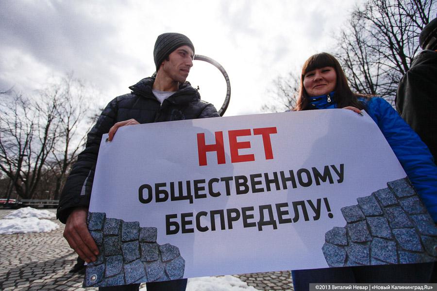 «Хватит защищать камни»: пикет «зелёных» в защиту «леса Теодора Кроне»