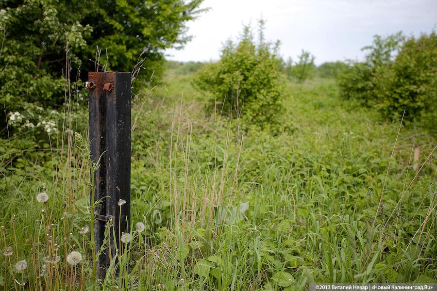 УФСБ: в Калининграде по поддельным документам зарегистрировали 14 участков в СНТ